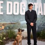 Ridley Scott présente un monde dévasté par les crises dans « The Dog Stars »