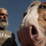 Un médecin de Saint-Malo devient agriculteur pour promouvoir le respect de la nature.