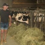 Sécheresse : de nombreuses exploitations agricoles en France menacées de faillite