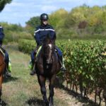Sécurité renforcée : la gendarmerie rassure les vignerons en Champagne sur leurs parcelles.