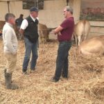Agriculteurs en difficulté face aux canicules, appel à l&rsquo;aide des industriels
