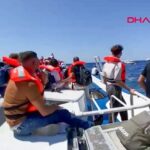 Naufrage d’un ferry au large de Chypre : scènes de panique et blessés signalés.