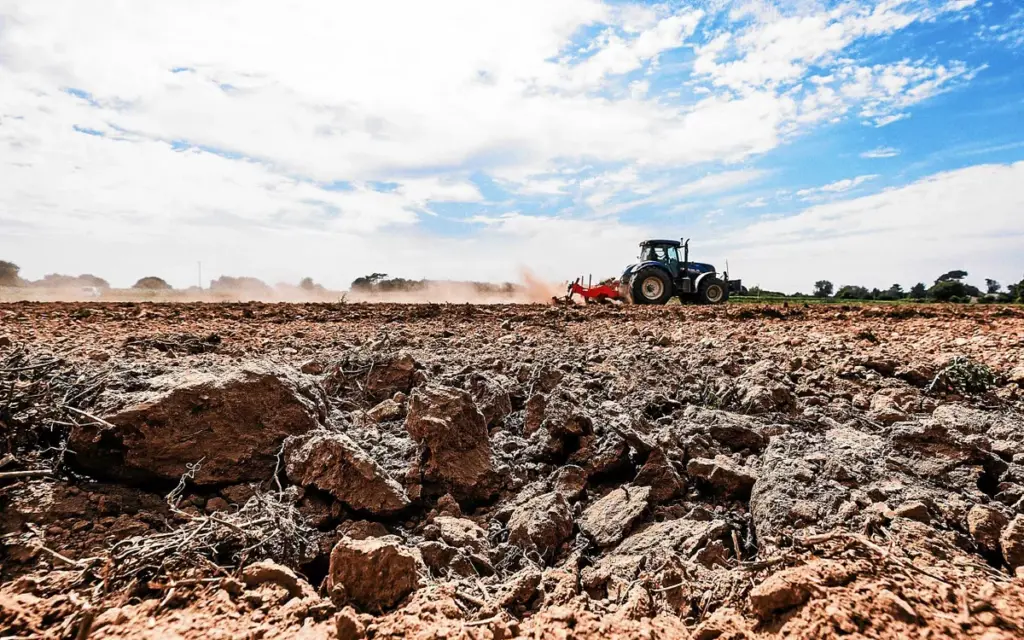 Sécheresse : les Jeunes agriculteurs exposent leurs besoins pour éviter une catastrophe agricole.