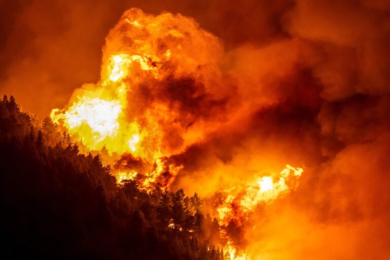 Incendie sur le littoral : un mort et des dizaines de blessés signalés