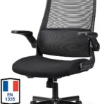 MELOKEA Chair : Bureau avec accoudoirs pliables et soutien lombaire ergonomique