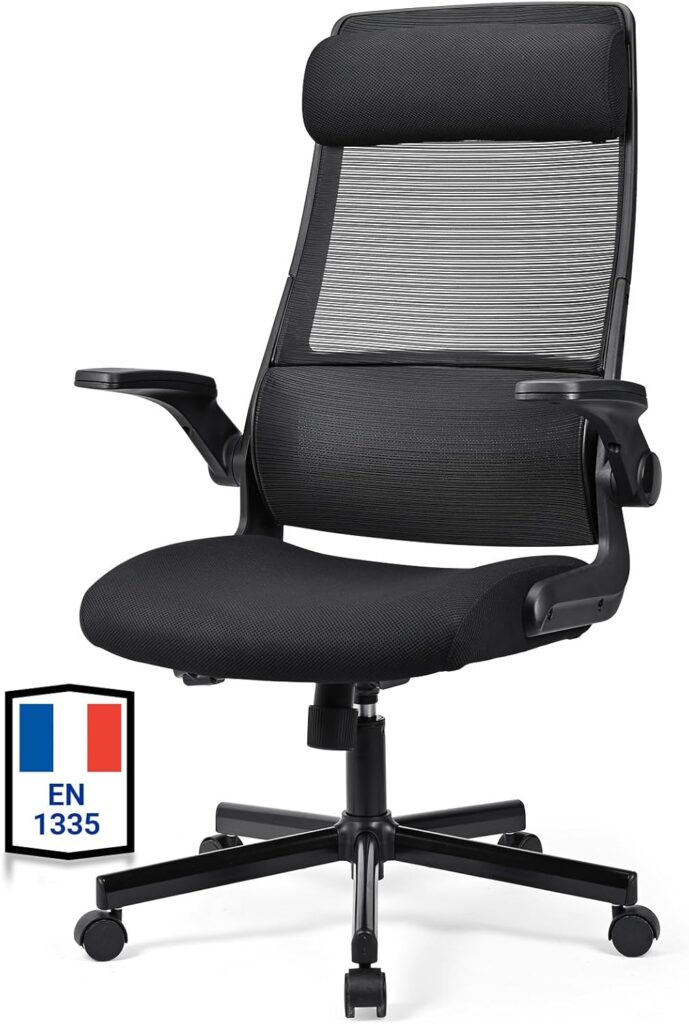 MELOKEA Chair : Bureau avec accoudoirs pliables et soutien lombaire ergonomique