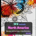 Top 10 des animaux nord-américains à colorier pour enfants et adultes
