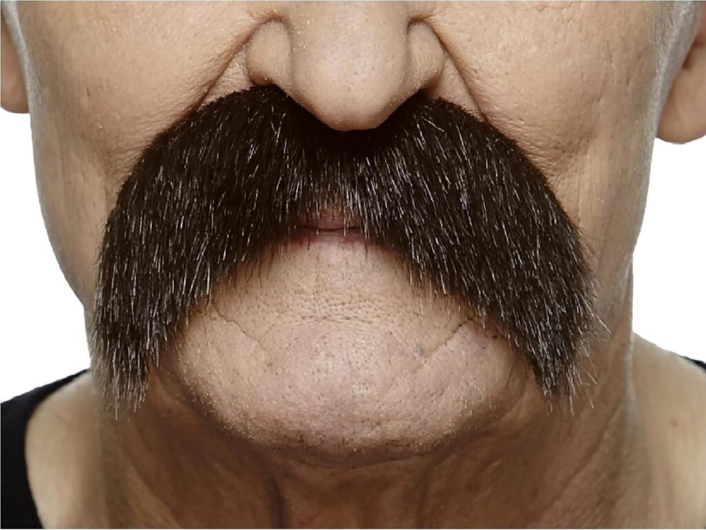 Mustaches Walrus lance un faux moustache auto-adhésive en couleur marron.