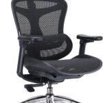 SIHOO Doro C300 : Chaise de bureau ergonomique avec support lombaire dynamique ajustable