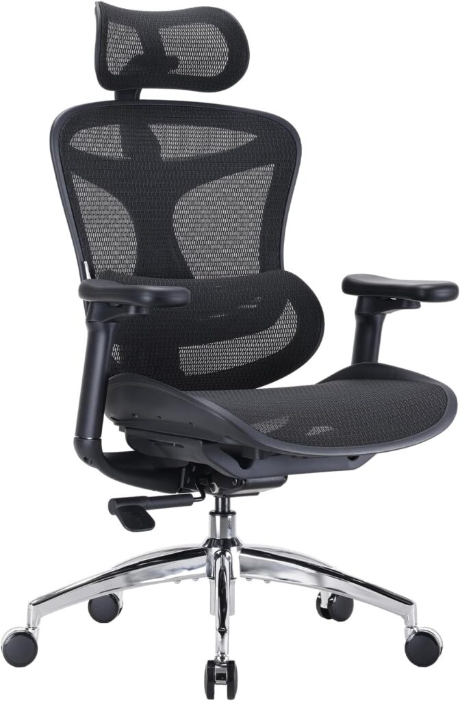 SIHOO Doro C300 : Chaise de bureau ergonomique avec support lombaire dynamique ajustable