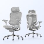 Chaise de bureau ergonomique SIHOO Doro C300 Pro V2 avec soutien lombaire dynamique et bras 6D ajustables