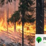 100 hectares brûlés dans une réserve naturelle aux Pays-Bas, des mesures de sécurité renforcées.