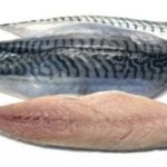 Filets de maquereaux