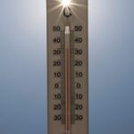 Canicules en France : plus de 7 300 décès excédentaires signalés cette année.