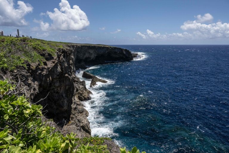 Les océans atteignent des températures record, selon des scientifiques marins.