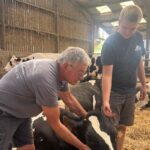Agriculteurs en difficulté en raison de la sécheresse affectant les vaches et l’herbe.