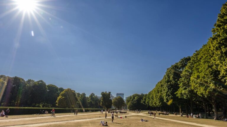 Belgique : prévisions de températures atteignant 35°C dans les jours à venir