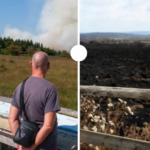 Incendie des Hautes Fagnes : photos avant/après illustrent la destruction des paysages.