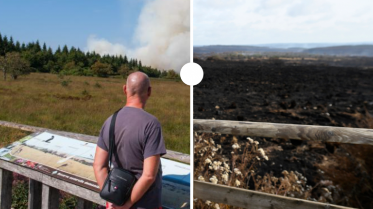 Incendie des Hautes Fagnes : photos avant/après illustrent la destruction des paysages.
