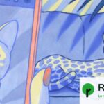 Le serval, félin populaire sur les réseaux sociaux, victime d’un trafic illégal en France.