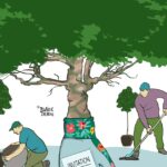 Préservation des arbres : une étude révèle l’importance des espèces locales en milieu urbain