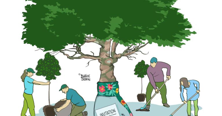 Préservation des arbres : une étude révèle l’importance des espèces locales en milieu urbain