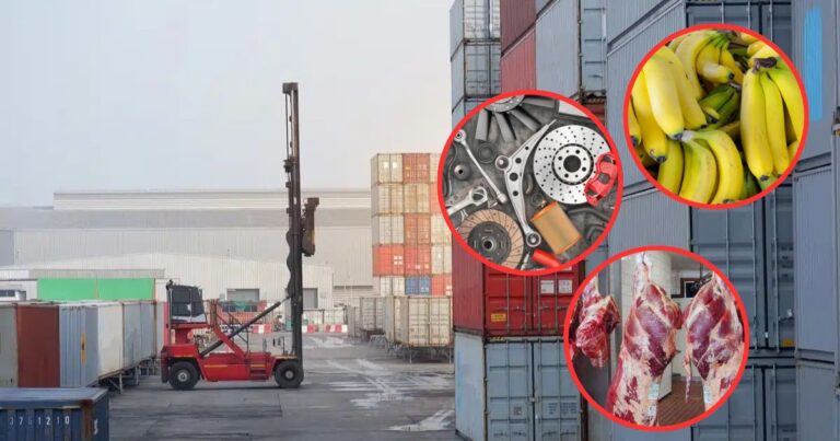 Importation de nouveaux stocks de viande rouge, bananes et pièces auto sur le marché.
