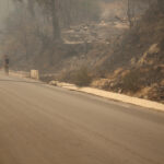 Incendies en Algérie : trois jours de deuil national décrétés par les autorités.