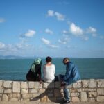 Mobilité des compétences entre la Tunisie et la France : enjeux et solutions proposées.