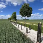 Agroforesterie en Bourgogne : les pratiques agricoles intègrent les arbres pour une meilleure durabilité