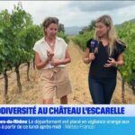 Des chercheurs marseillais découvrent un nouveau traitement contre les maladies respiratoires.