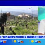 L&rsquo;industrie touristique de la Côte d&rsquo;Azur face à une baisse significative des réservations estivales.