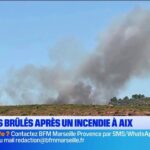 Cinq hectares brûlés lors d&rsquo;un incendie à Aix, intervention des pompiers en cours.