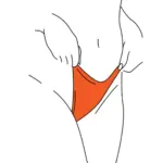 Culottes menstruelles : des études alertent sur les substances toxiques présentes.