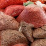 Laboratoire clandestin de méthamphétamine démantelé en Afrique du Sud, plusieurs arrestations effectuées.