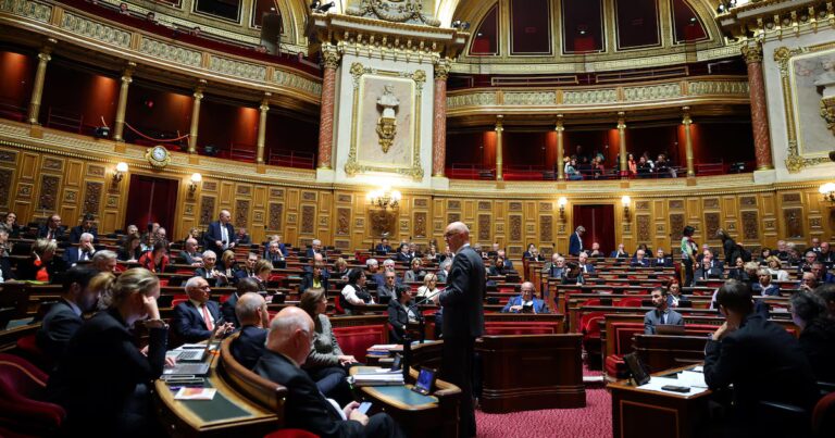Budget des armées français réduit après un revers inattendu au Sénat