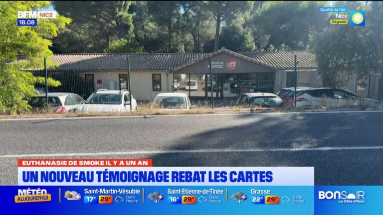 Euthanasie de Smoke : un nouveau témoignage relance le débat en France.