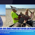 Fos-sur-Mer utilise des ânes pour le nettoyage des plages locales.