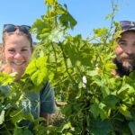 Deux résistants de l’Orléanais relancent la production du vin des rois de France