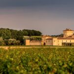 Nuits dorées à Lafaurie-Peyraguey : une production viticole en plein essor dans le Sauternais.