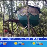 Logements insolites au domaine de la Tuilière à Carnoules pour l&rsquo;été 2023.