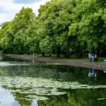 Alerte aux cyanobactéries à Lille : baignade et pêche interdites par les autorités sanitaires.