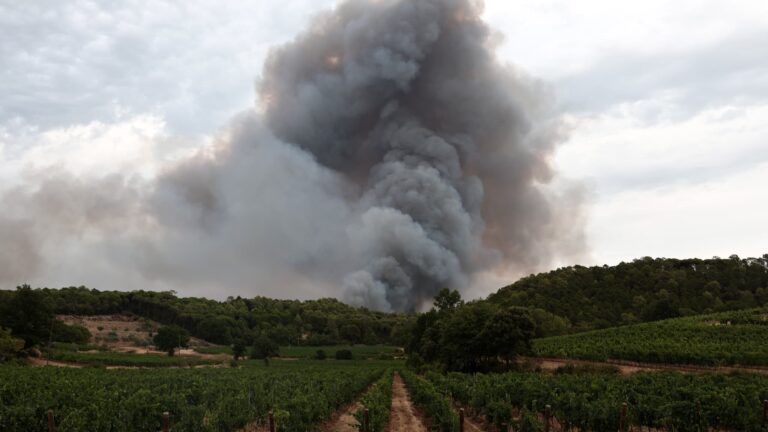 Incendie dans le Var : le département classé à « très haut risque » ce samedi après-midi