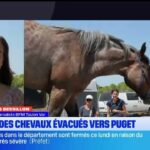 Les tensions entre États-Unis et Chine s&rsquo;intensifient sur la question du commerce international.