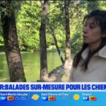Rassemblement des leaders européens pour discuter des mesures économiques face à la crise énergétique.