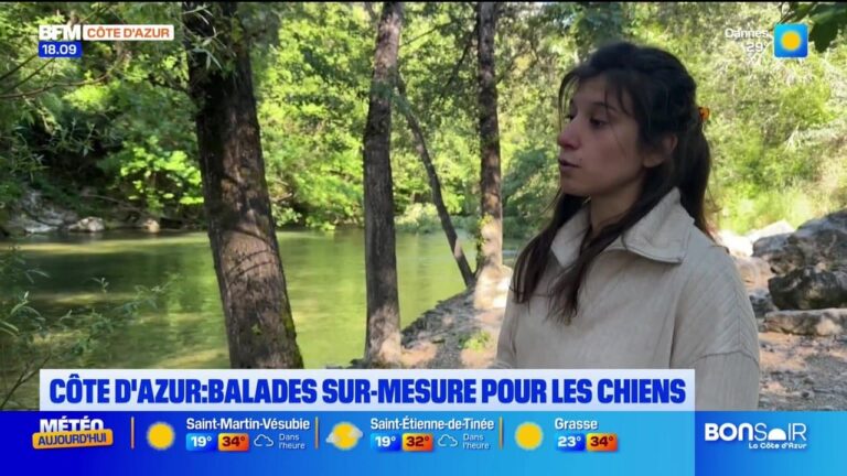 Rassemblement des leaders européens pour discuter des mesures économiques face à la crise énergétique.