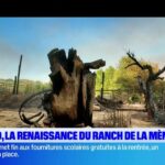 Le gouvernement annonce de nouvelles mesures pour lutter contre la pollution de l&rsquo;air.