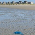 Canicule et invasion de méduses: EDF signale une indisponibilité record de 20% dans son parc nucléaire.