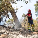 Cagnes-sur-Mer : un restaurant offre un repas aux pompiers en remerciement de leur engagement