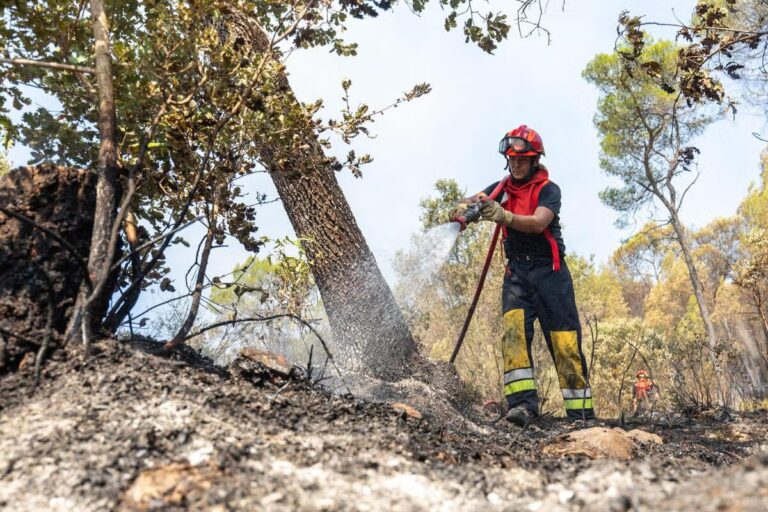 Cagnes-sur-Mer : un restaurant offre un repas aux pompiers en remerciement de leur engagement